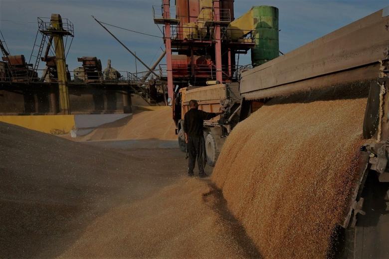 Россия в прошлом сельхозгоду поставила рекорд по экспорту зерна – Минсельхоз
